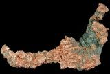 Natural, Native Copper Formation - Michigan #177241-1